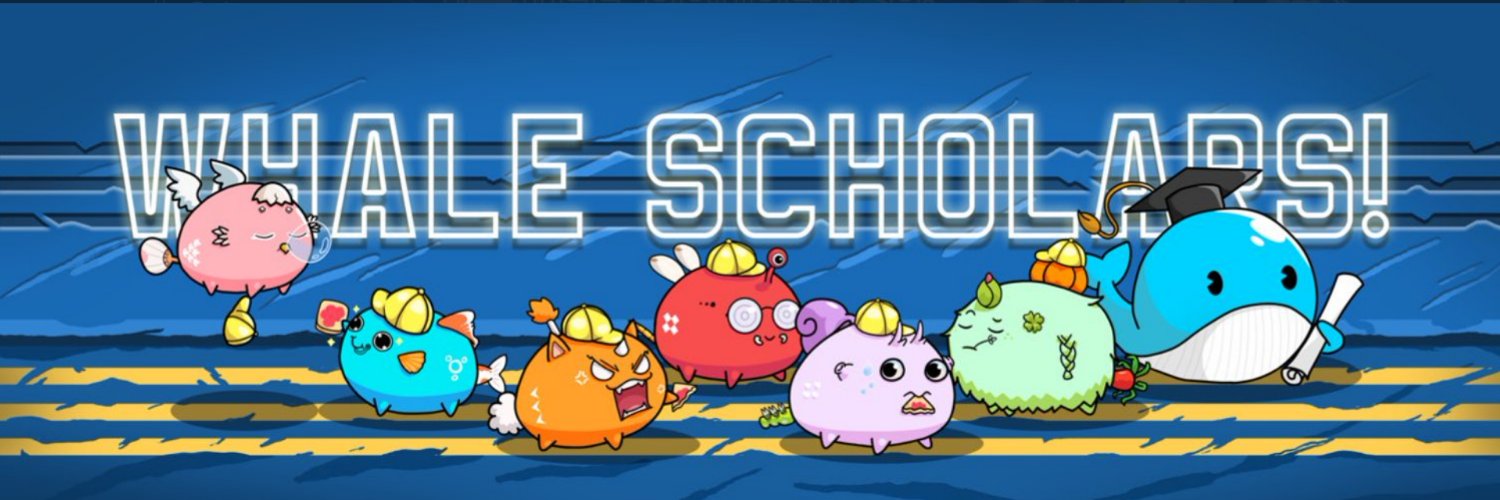 C A P | SW Orca banner