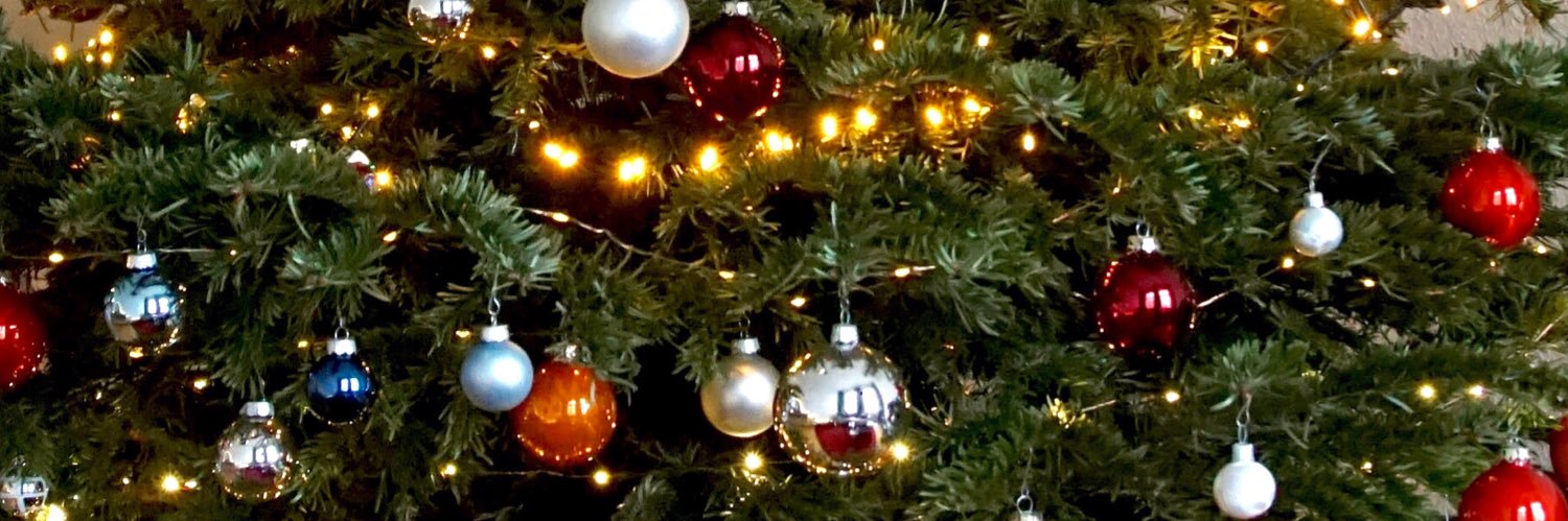 Wishes4Santa's profile banner image