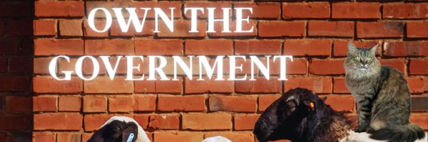 TheNeobornShow Profile Banner