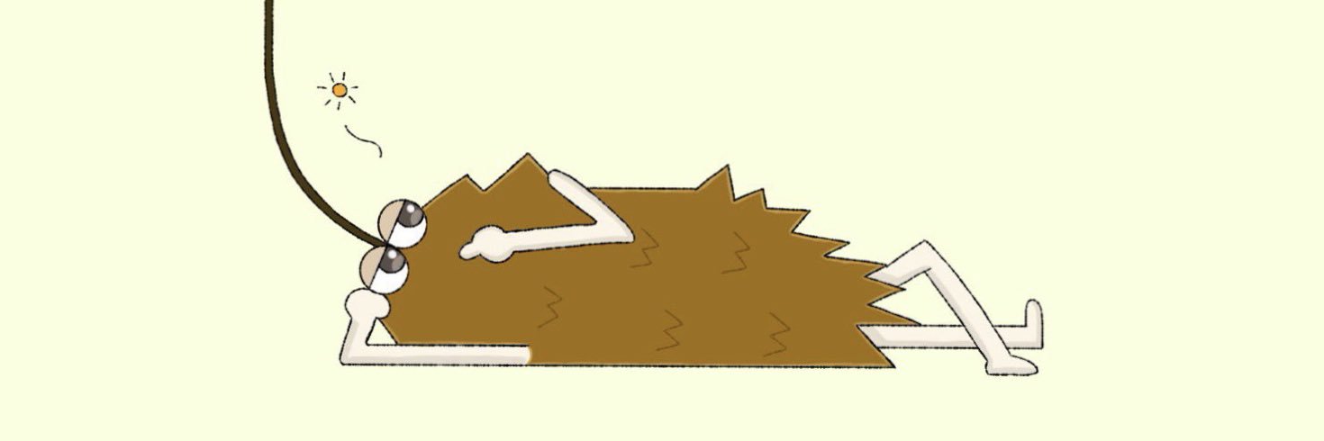 ざこみの️ banner