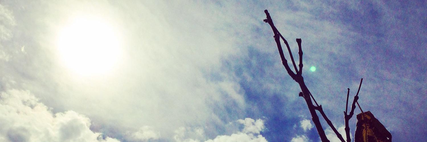 serealma's profile banner image