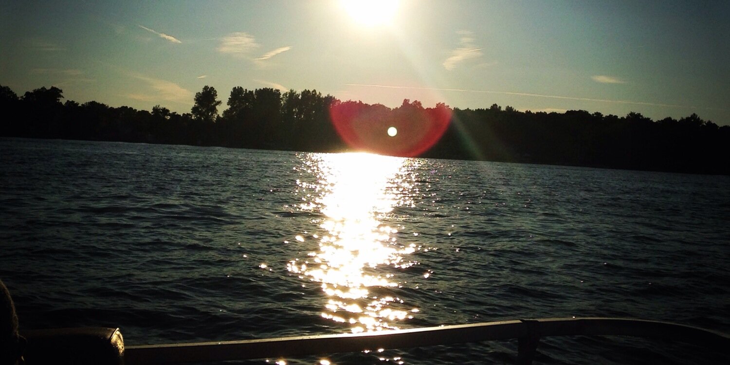 Chelsea Brown banner