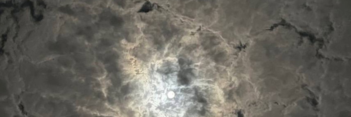 G banner