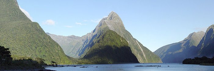 Daily Telegraph New Zealand's banner