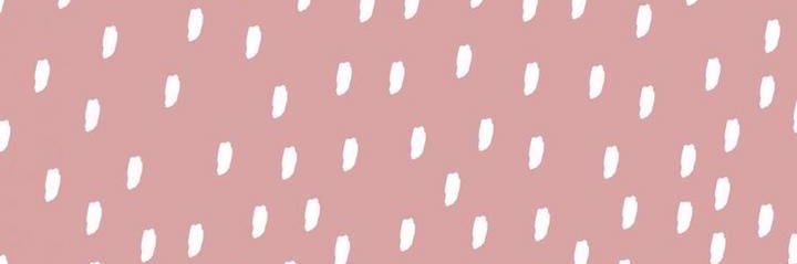 VillaNacha's profile banner image
