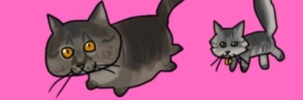 kaoruo1111's profile banner image