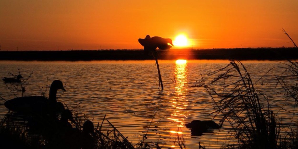 Jonathan Porter banner