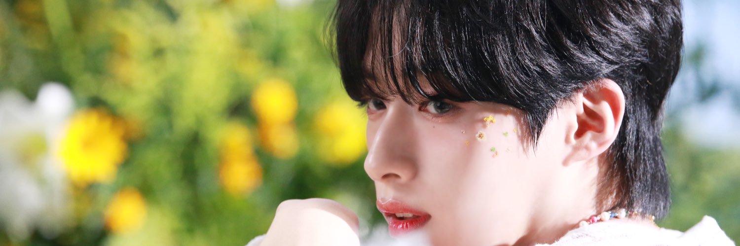 CreamMaltese's profile banner image