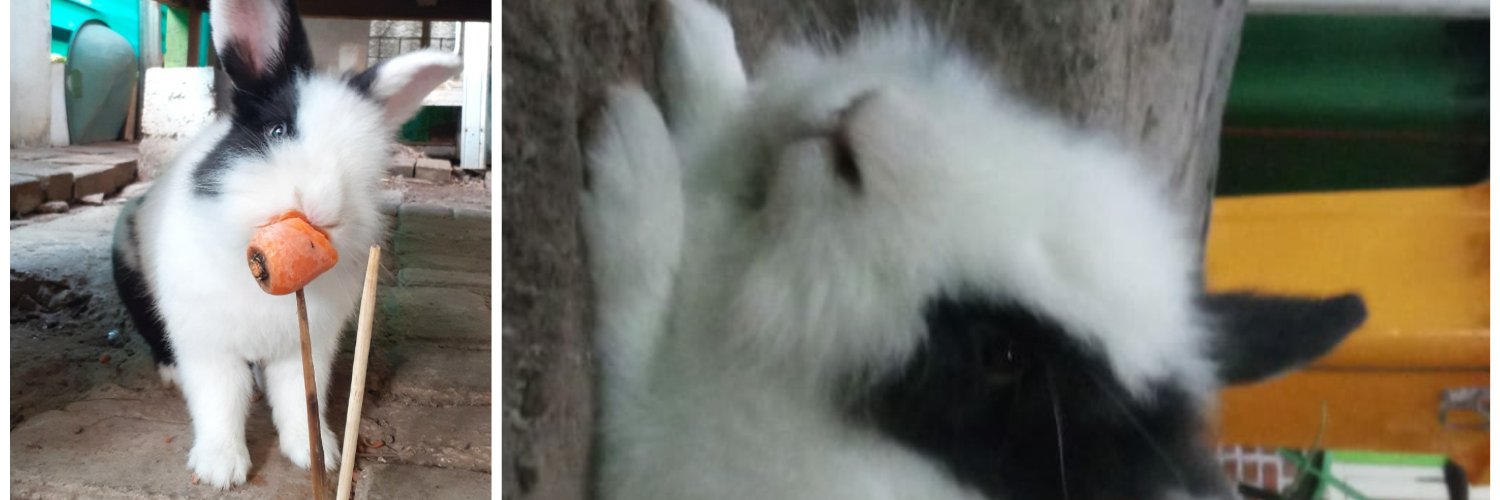 __beyy__'s profile banner image