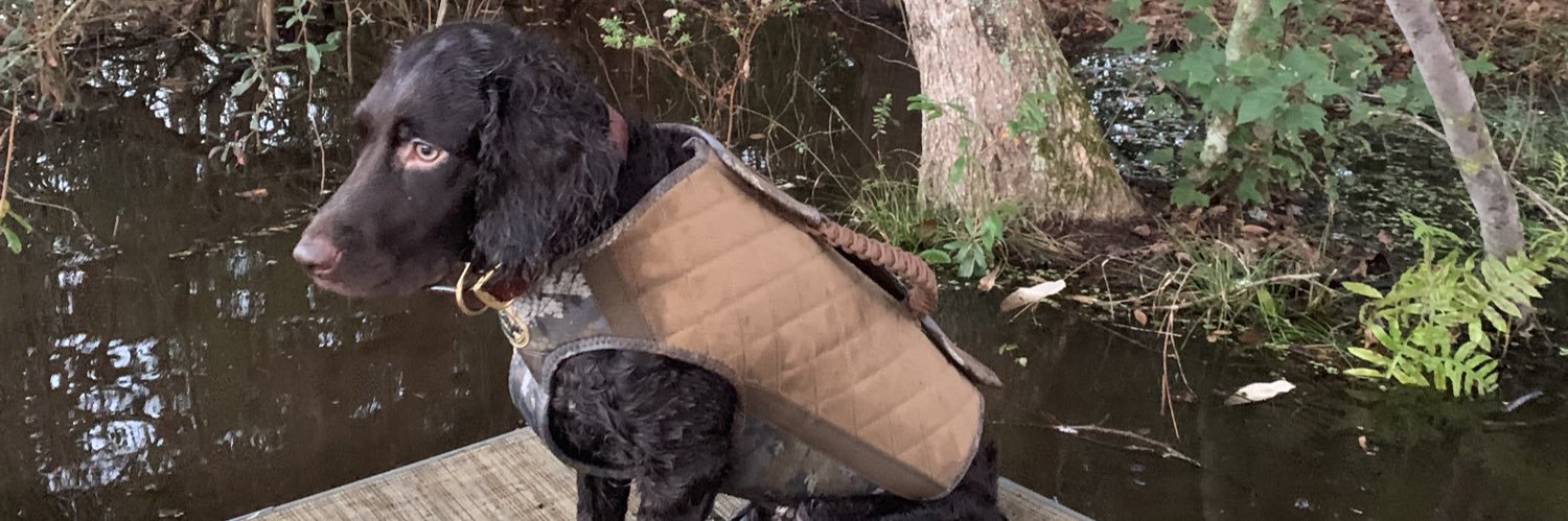 BishopKodi's profile banner image