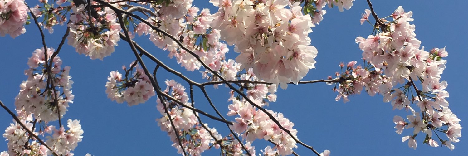SheHires's profile banner image