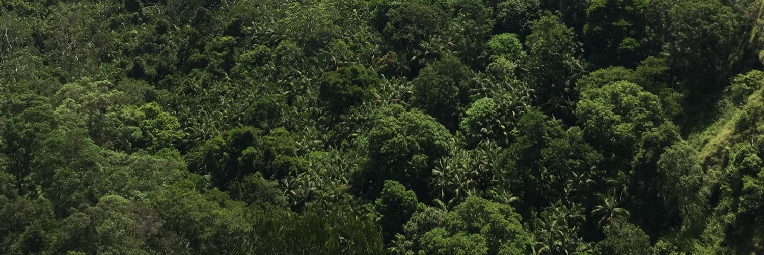 johnsee's profile banner image