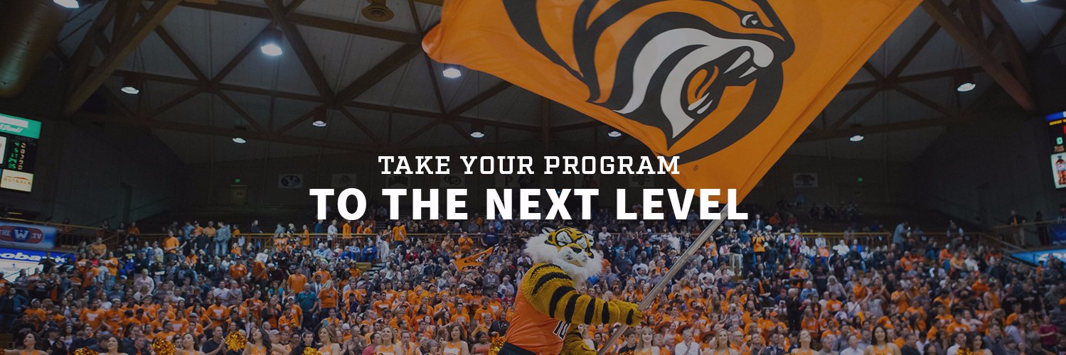 Team Fitz Graphics banner