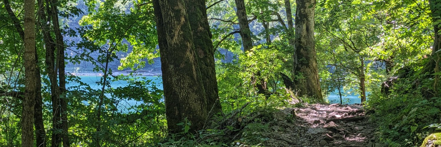 מורה נבוכים banner