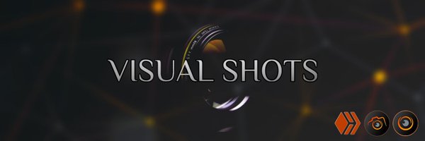 Visual Shots Community Profile Banner