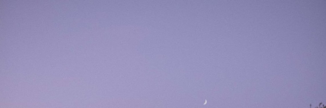 _124p's profile banner image
