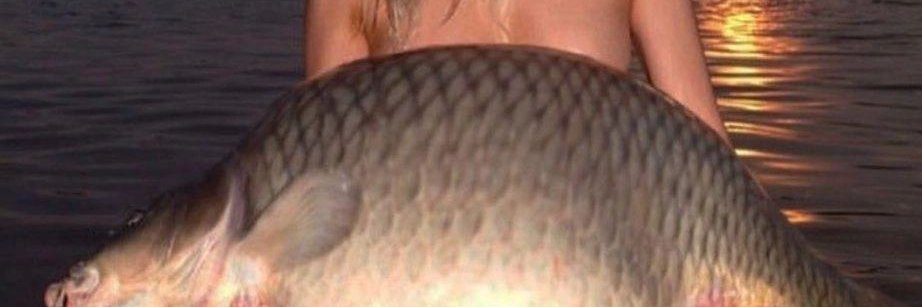 cryppi / perpdexlist banner