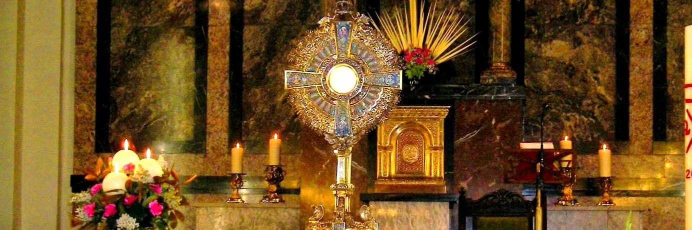 Mónica Torres Vizcardo banner