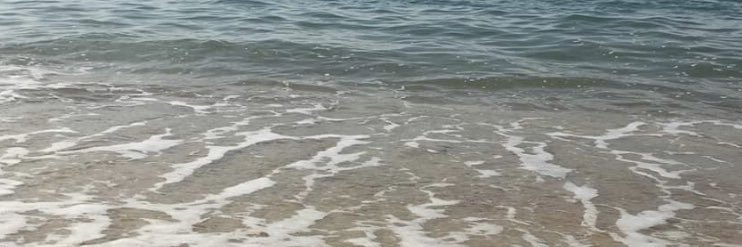 airaniss's profile banner image