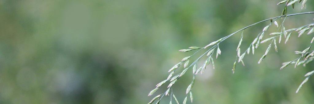 EmDashBuck's profile banner image