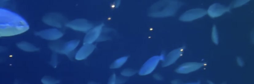 alexmadeabanger's profile banner image