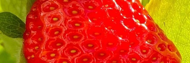 User4679 banner