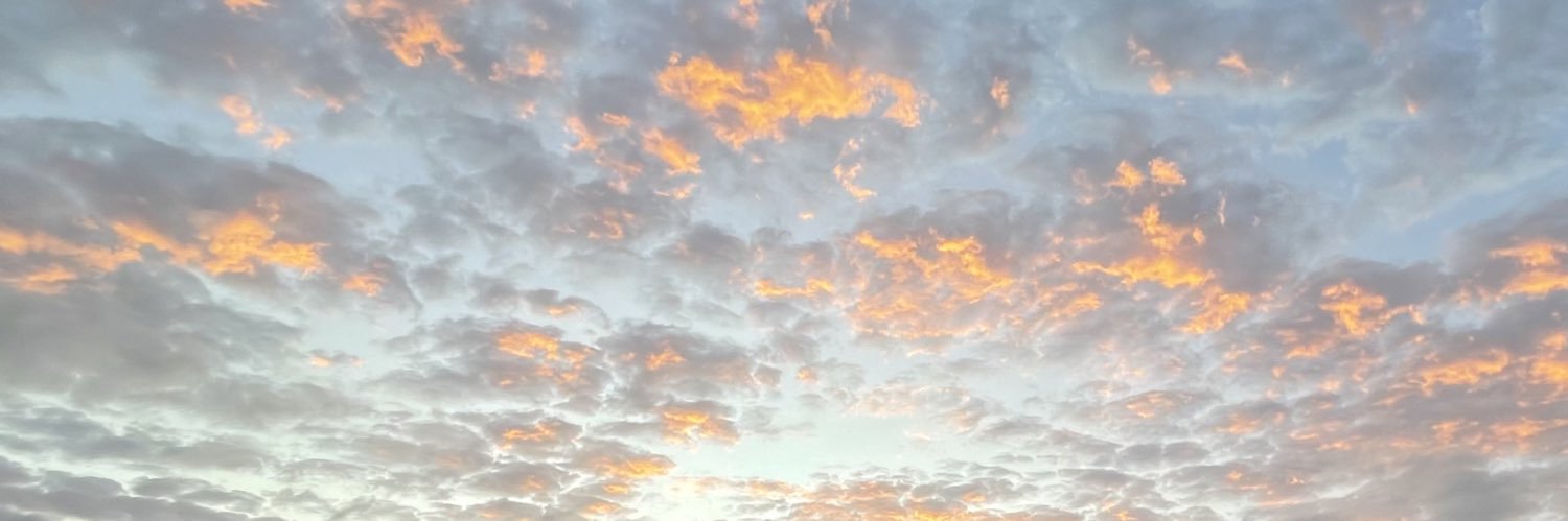 olarca's profile banner image