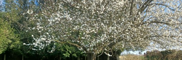 zuidtuin Profile Banner