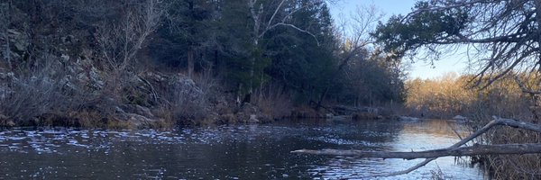 TimGrantham8 Profile Banner