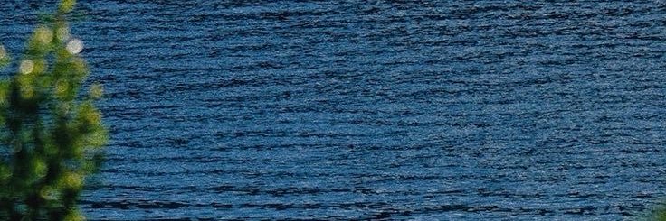 _nacho_v_'s profile banner image