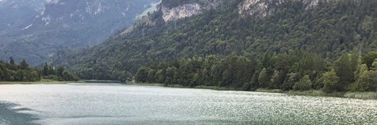Freya Jansson banner