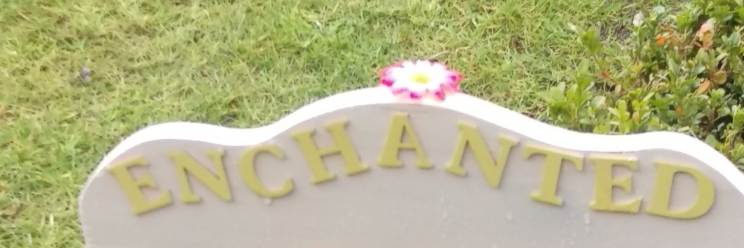 Ursula Mackenzie banner