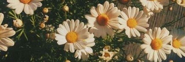 Aiko_kami_'s profile banner image