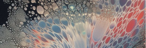 0xFastly Profile Banner
