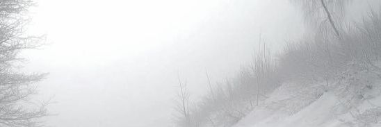iblushedhard's profile banner image