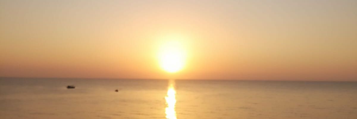 airdropdnc's profile banner image