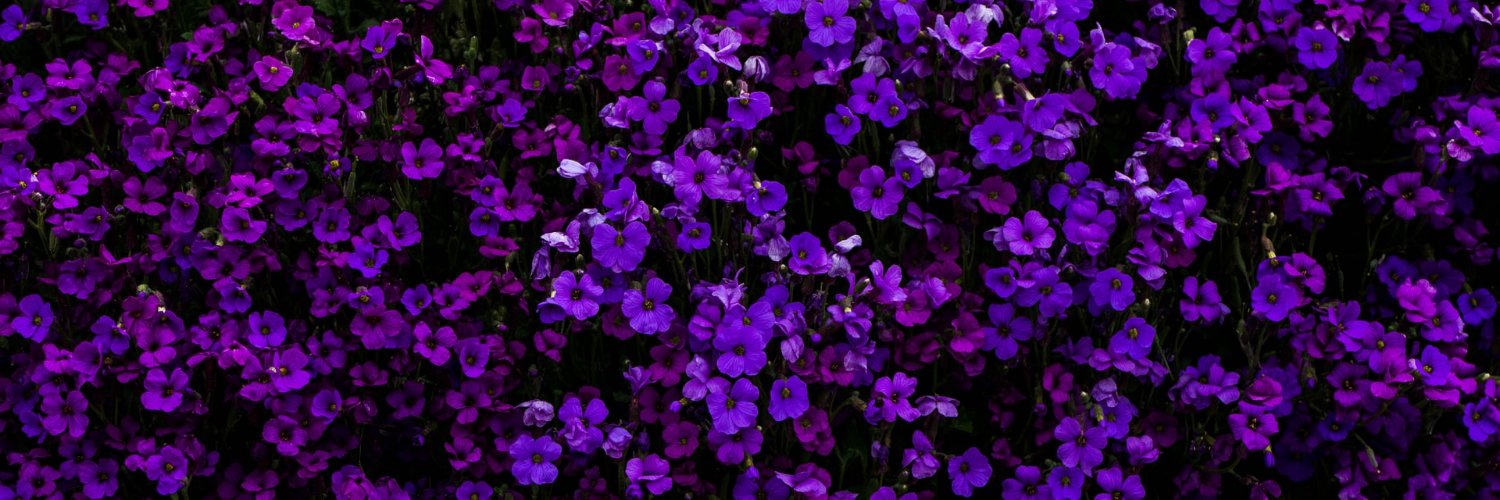 ultraviolet ladybug "skeleton war" mason banner