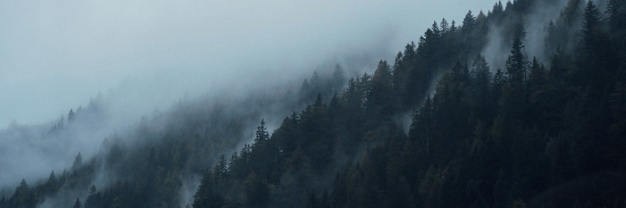 jvanderkluft's profile banner image