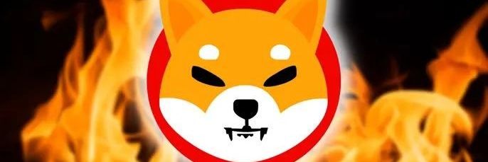 SHIBURN banner