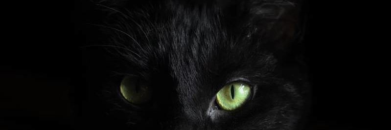 K63249H's profile banner image