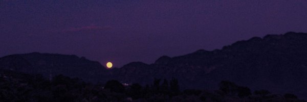 Vftrdvrk Profile Banner