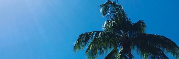 sofisjoholm's profile banner image
