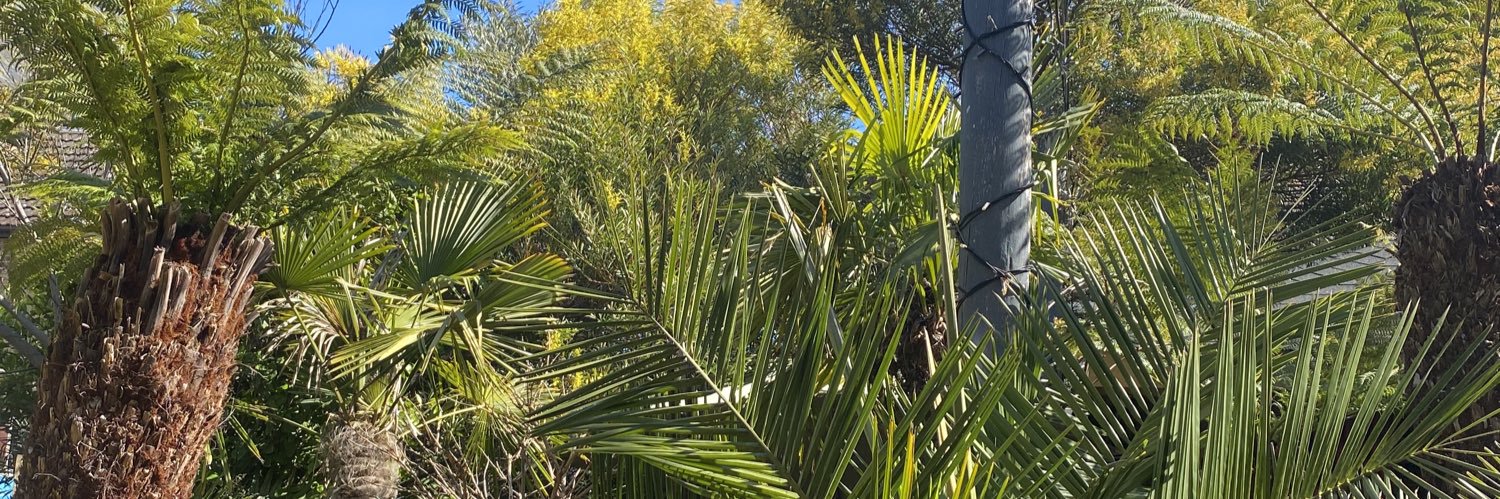 Café Nucleus banner