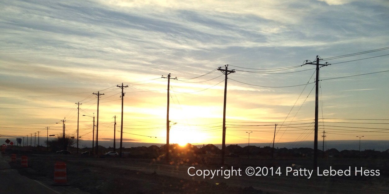 Patty Lebed Hess banner