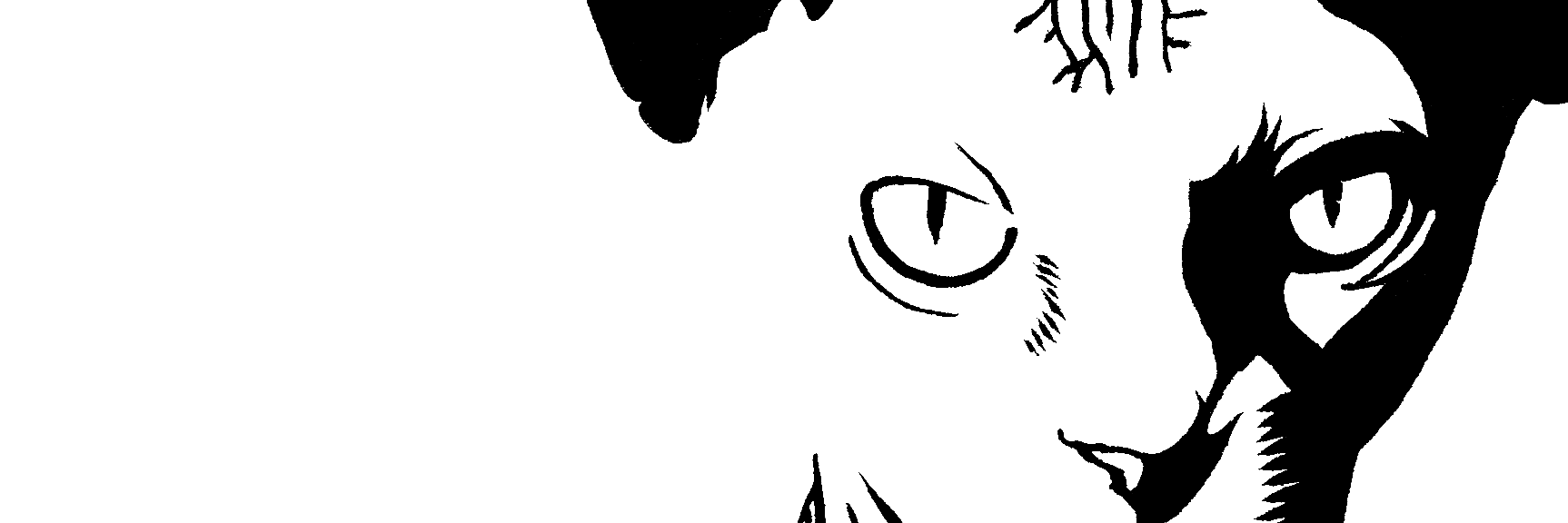Silwek l'e-woke banner