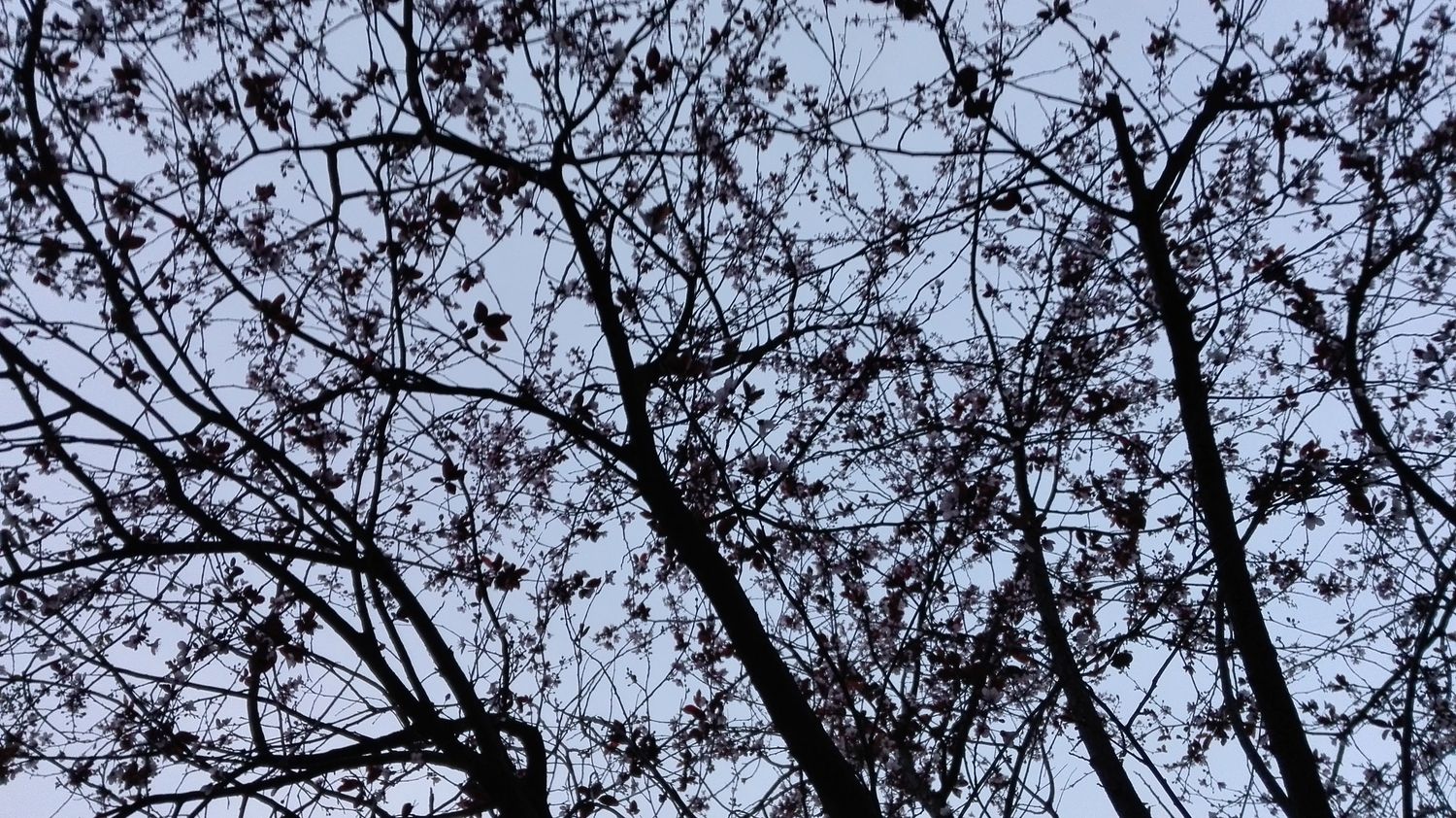 MPalacioAv's profile banner image