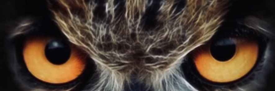 themightylolo's profile banner image