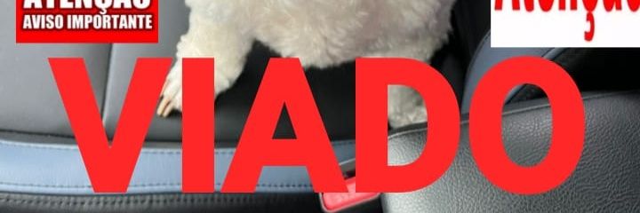 guara_pa's profile banner image