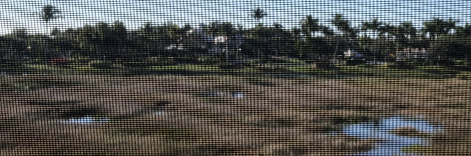 Casey Kesselring banner