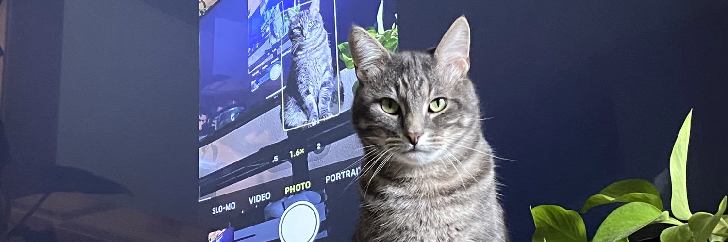 CampiCole's profile banner image